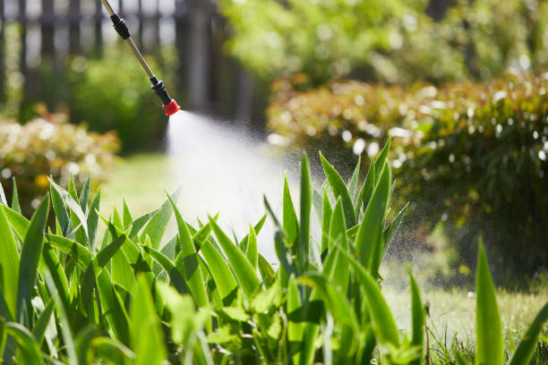 24/7 Emergency Wasp Removal experts in Lake Wylie, SC
