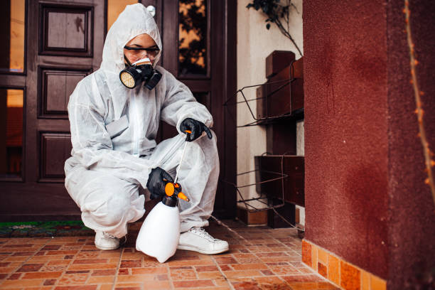 Reliable Wasp Removal contractor in Lake Wylie, SC by Show Me Pest Control